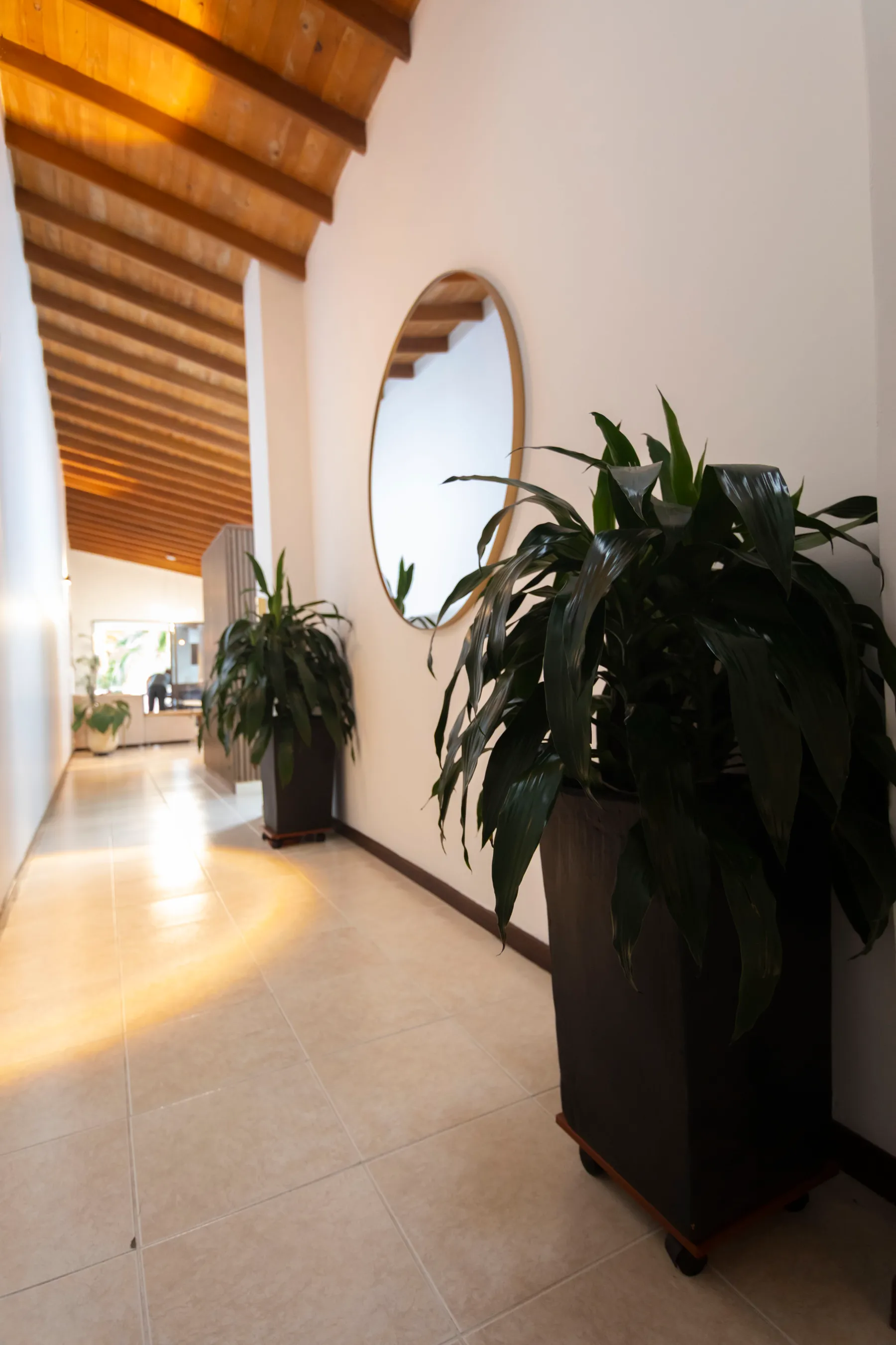 Casa Nogal — foto 2